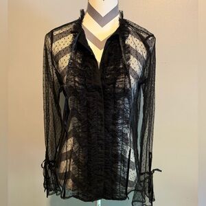 Hinge Black Sheer Lace Blouse